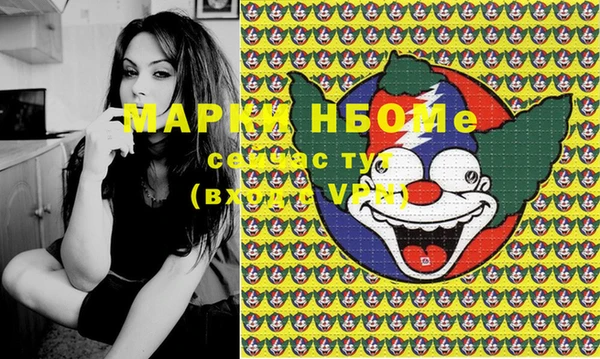 хмурый Пестово