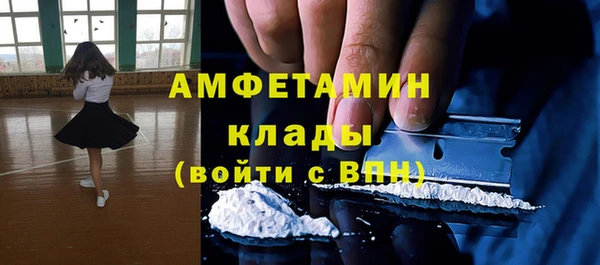 эйфоретик Ельня