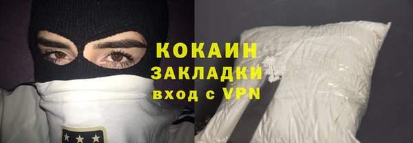 МДПВ Пересвет