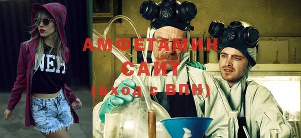 МДПВ Пересвет
