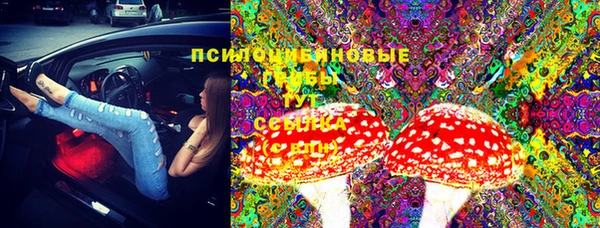 МДМА Елизово