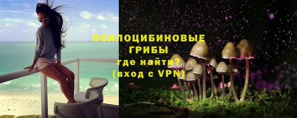 прущая мука Елабуга