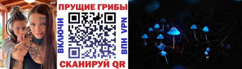 Галлюциногенные грибы мухоморы  закладка  OMG   Пересвет 